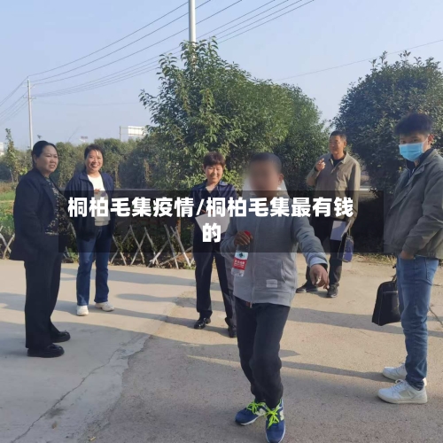 桐柏毛集疫情/桐柏毛集最有钱的-第3张图片