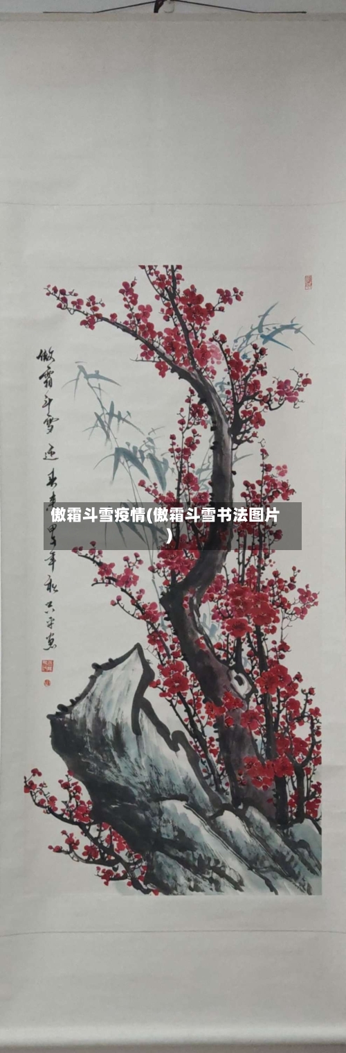 傲霜斗雪疫情(傲霜斗雪书法图片)