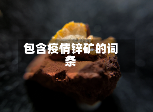 包含疫情锌矿的词条