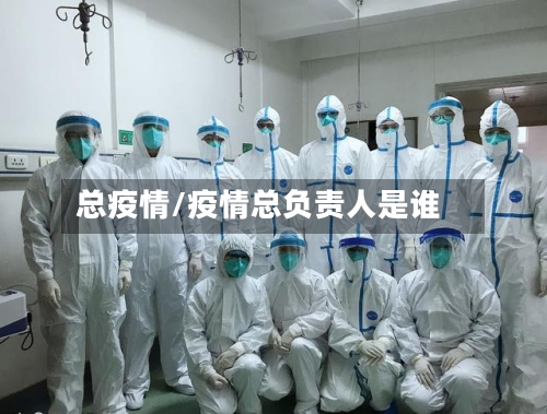 总疫情/疫情总负责人是谁