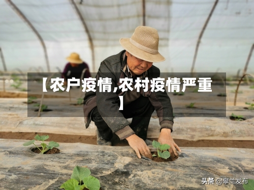 【农户疫情,农村疫情严重】-第2张图片