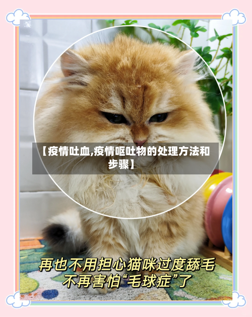 【疫情吐血,疫情呕吐物的处理方法和步骤】