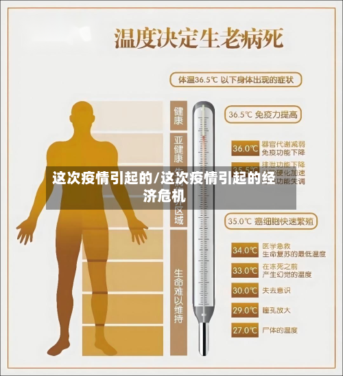 这次疫情引起的/这次疫情引起的经济危机