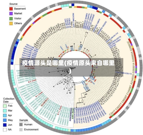 疫情源头是哪里(疫情原头来自哪里)
