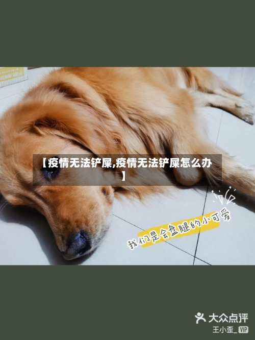 【疫情无法铲屎,疫情无法铲屎怎么办】