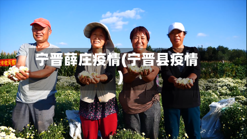 宁晋薛庄疫情(宁晋县疫情)