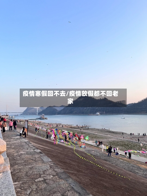 疫情寒假回不去/疫情放假都不回老家-第2张图片