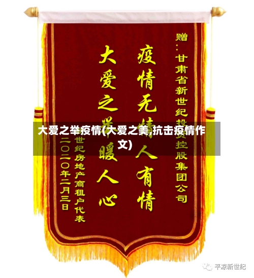 大爱之举疫情(大爱之美,抗击疫情作文)