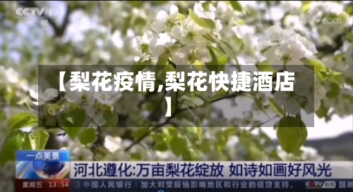 【梨花疫情,梨花快捷酒店】