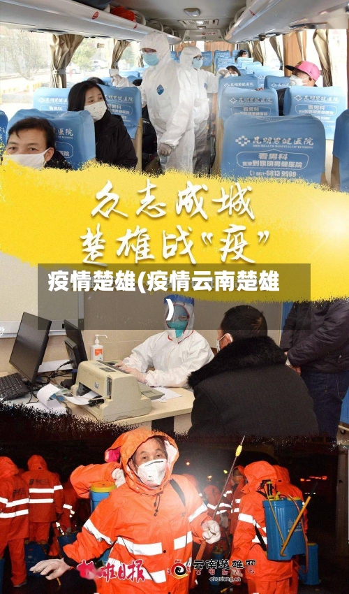 疫情楚雄(疫情云南楚雄)