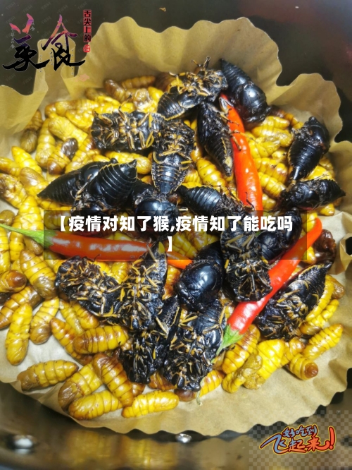 【疫情对知了猴,疫情知了能吃吗】