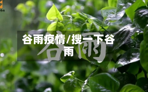 谷雨疫情/搜一下谷雨