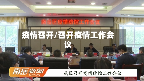 疫情召开/召开疫情工作会议