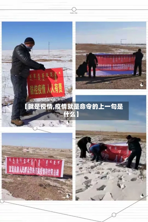 【就是疫情,疫情就是命令的上一句是什么】-第2张图片