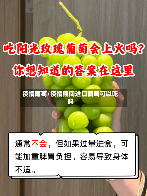 疫情葡萄/疫情期间进口葡萄可以吃吗-第2张图片