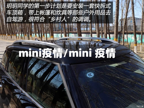 mini疫情/mini 疫情-第3张图片