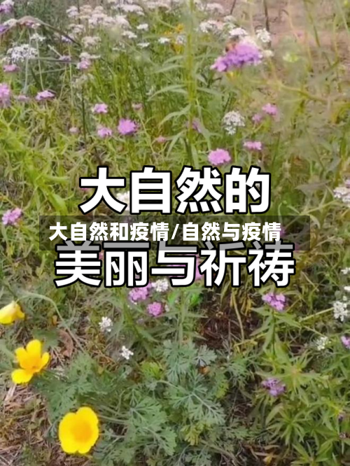 大自然和疫情/自然与疫情-第2张图片