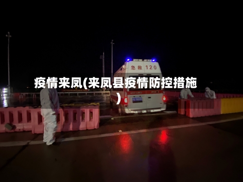 疫情来凤(来凤县疫情防控措施)