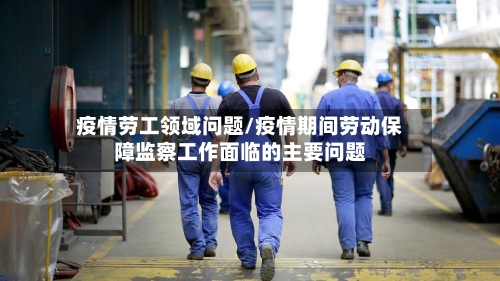 疫情劳工领域问题/疫情期间劳动保障监察工作面临的主要问题