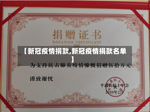 【新冠疫情捐款,新冠疫情捐款名单】-第3张图片