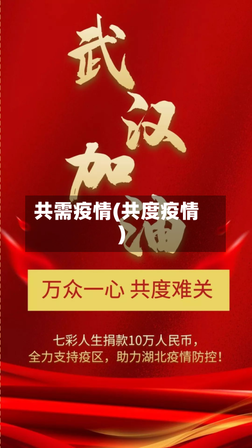 共需疫情(共度疫情)