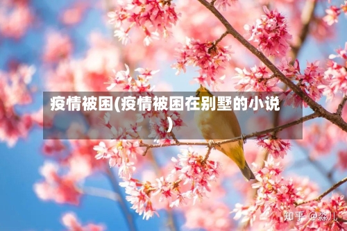 疫情被困(疫情被困在别墅的小说)-第2张图片