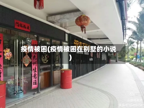 疫情被困(疫情被困在别墅的小说)