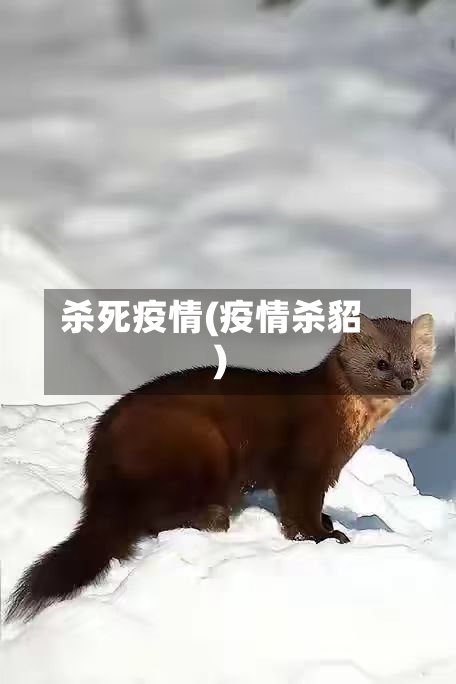 杀死疫情(疫情杀貂)