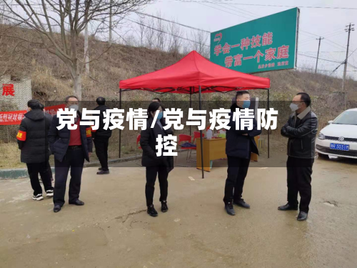 党与疫情/党与疫情防控
