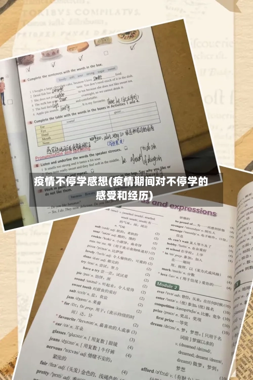 疫情不停学感想(疫情期间对不停学的感受和经历)