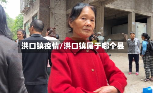 洪口镇疫情/洪口镇属于哪个县