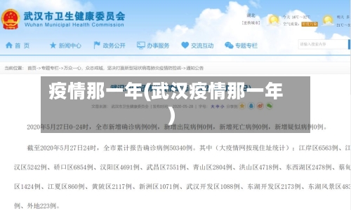 疫情那一年(武汉疫情那一年)