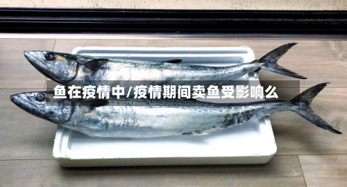 鱼在疫情中/疫情期间卖鱼受影响么-第2张图片