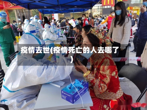 疫情去世(疫情死亡的人去哪了)