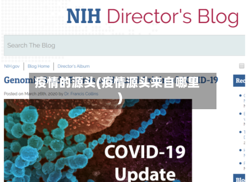 疫情的源头(疫情源头来自哪里)
