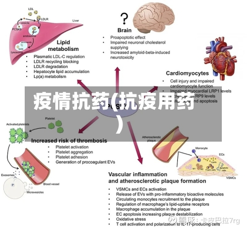 疫情抗药(抗疫用药)-第2张图片