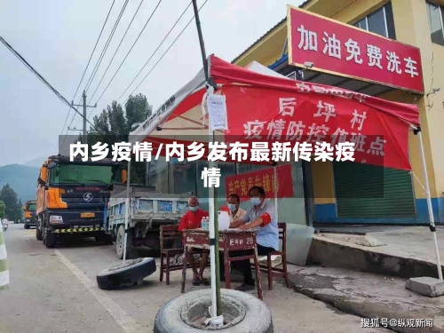 内乡疫情/内乡发布最新传染疫情-第3张图片