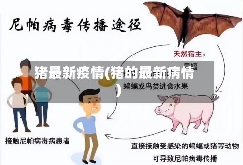 猪最新疫情(猪的最新病情)-第2张图片