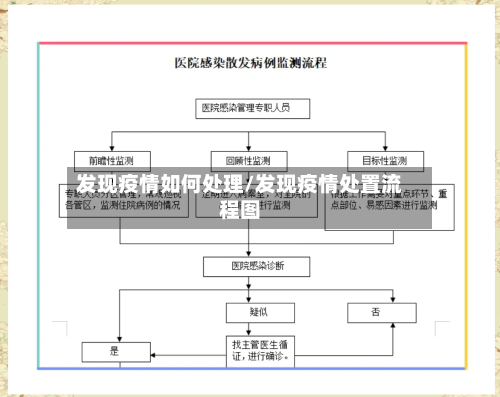 发现疫情如何处理/发现疫情处置流程图