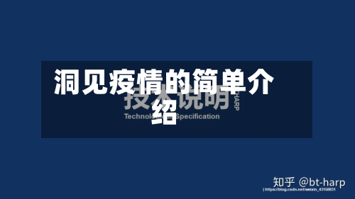 洞见疫情的简单介绍-第2张图片