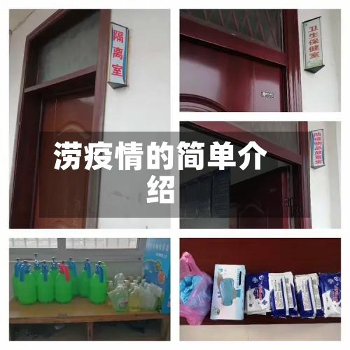 涝疫情的简单介绍