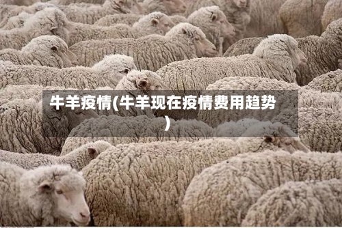 牛羊疫情(牛羊现在疫情费用趋势)