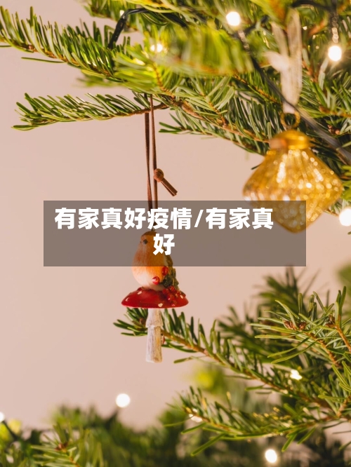 有家真好疫情/有家真好