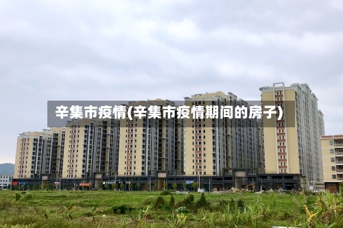 辛集市疫情(辛集市疫情期间的房子)