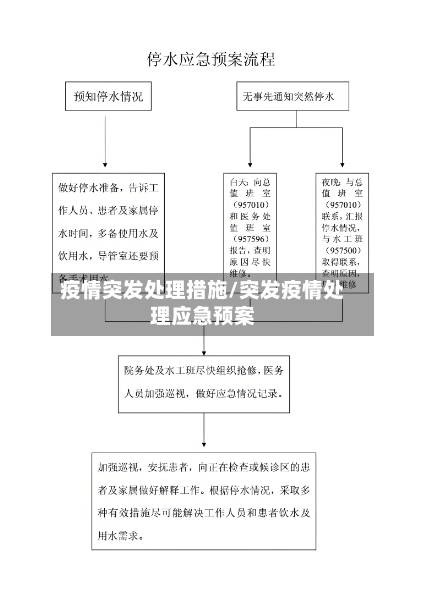 疫情突发处理措施/突发疫情处理应急预案-第3张图片