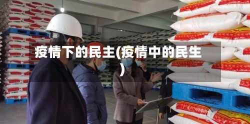 疫情下的民主(疫情中的民生)-第2张图片