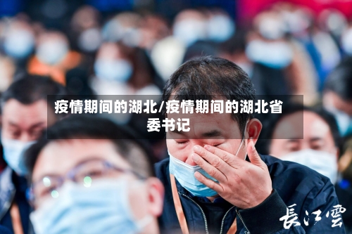 疫情期间的湖北/疫情期间的湖北省委书记-第3张图片