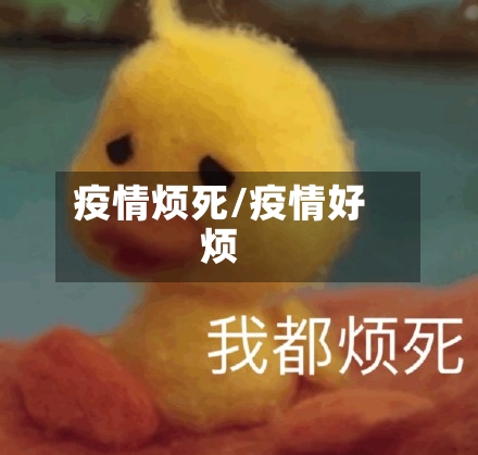 疫情烦死/疫情好烦-第2张图片