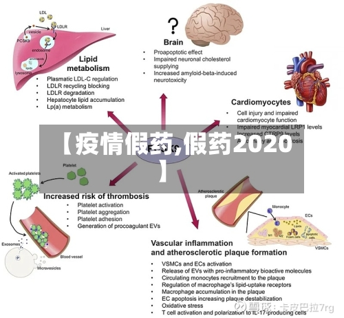 【疫情假药,假药2020】-第3张图片