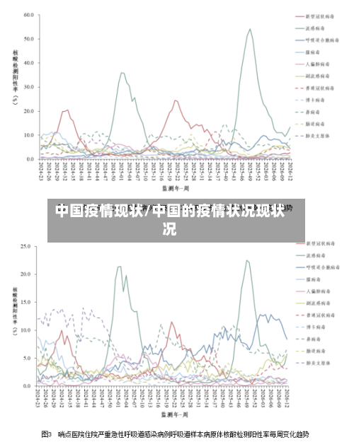 中国疫情现状/中国的疫情状况现状况-第2张图片